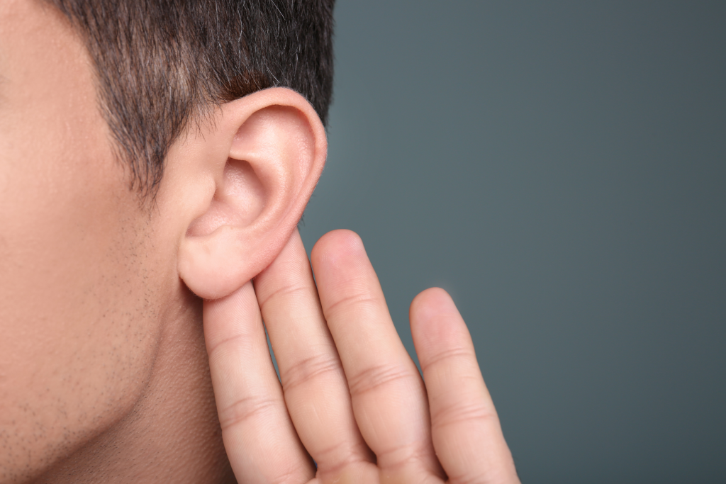 les oreilles